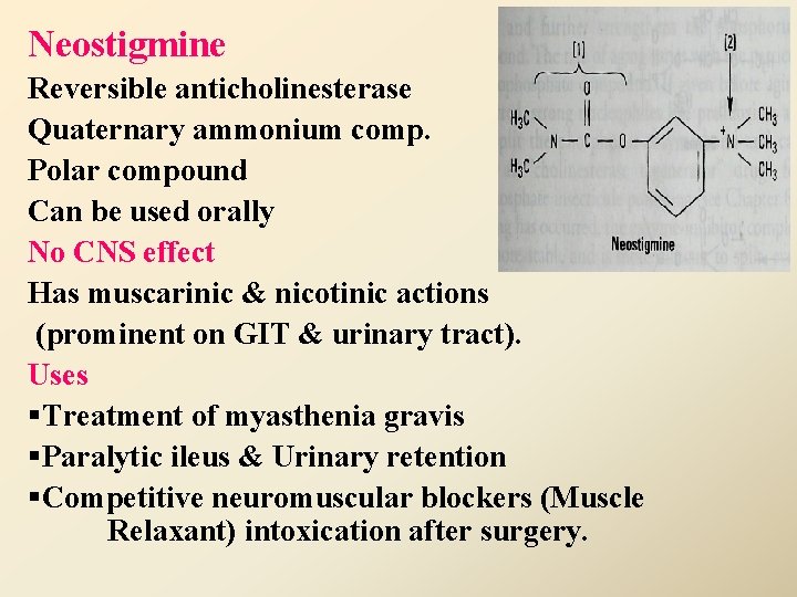 Neostigmine Reversible anticholinesterase Quaternary ammonium comp. Polar compound Can be used orally No CNS