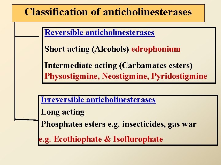 Classification of anticholinesterases Reversible anticholinesterases Short acting (Alcohols) edrophonium Intermediate acting (Carbamates esters) Physostigmine,