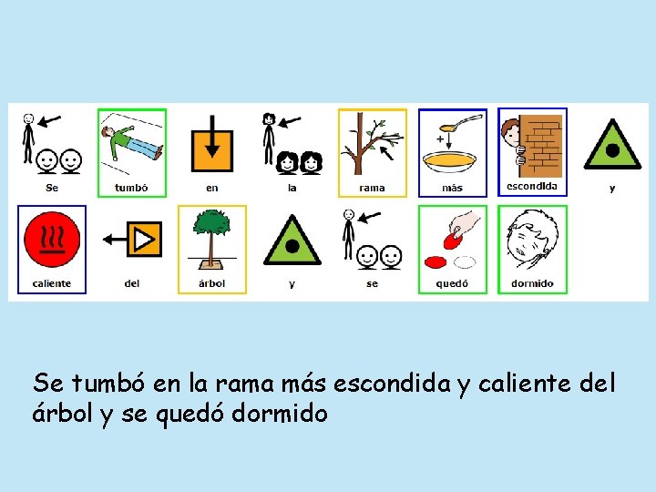 Se tumbó en la rama más escondida y caliente del árbol y se quedó