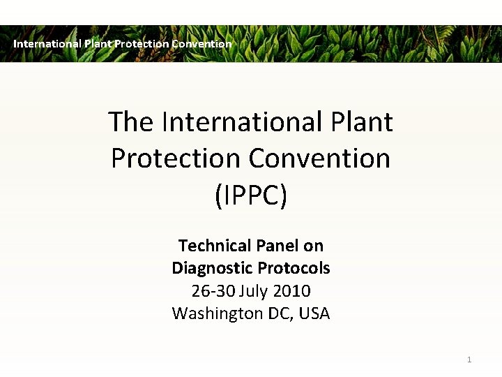International Plant Protection Convention The International Plant Protection Convention (IPPC) Technical Panel on Diagnostic