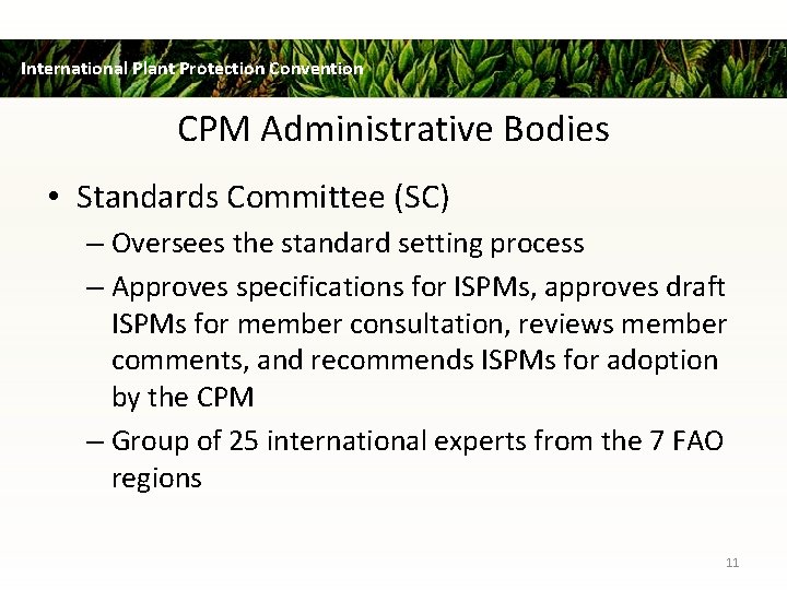 International Plant Protection Convention CPM Administrative Bodies • Standards Committee (SC) – Oversees the