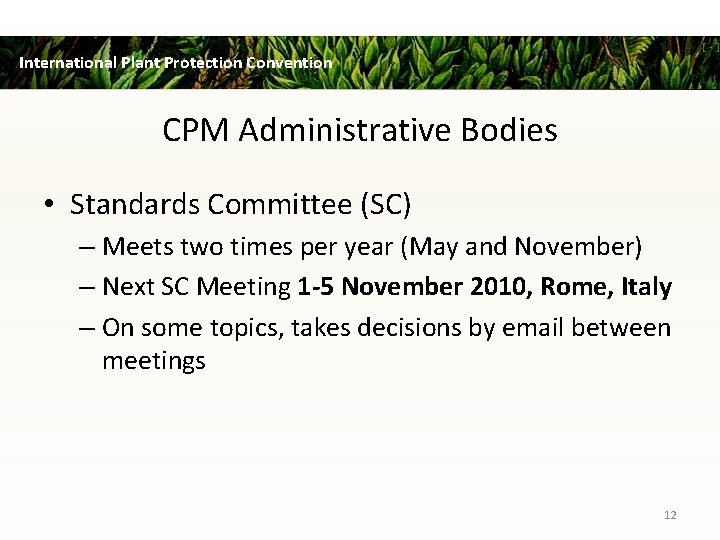 International Plant Protection Convention CPM Administrative Bodies • Standards Committee (SC) – Meets two