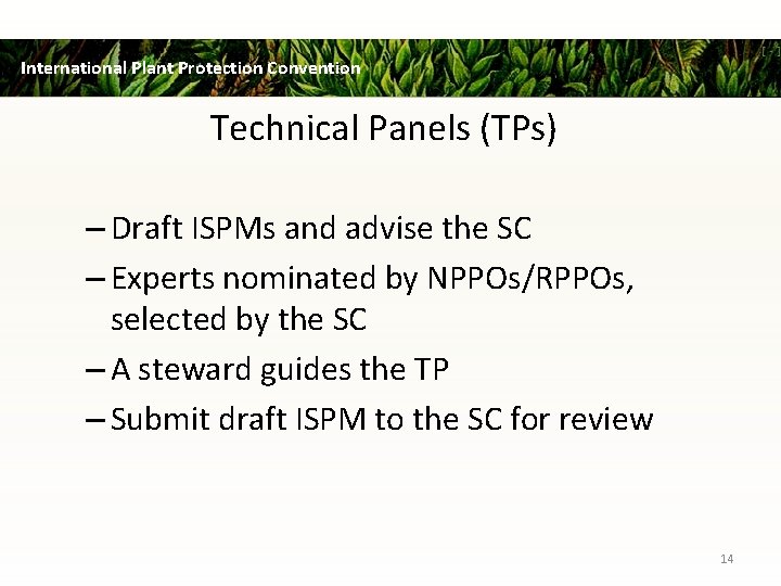 International Plant Protection Convention Technical Panels (TPs) – Draft ISPMs and advise the SC