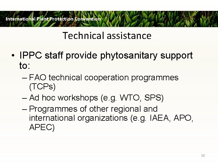International Plant Protection Convention Technical assistance • IPPC staff provide phytosanitary support to: –