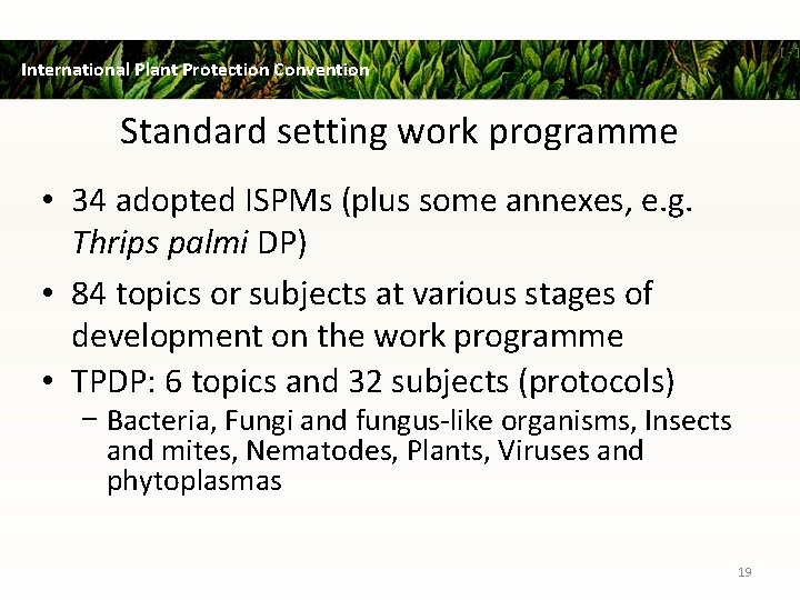 International Plant Protection Convention Standard setting work programme • 34 adopted ISPMs (plus some