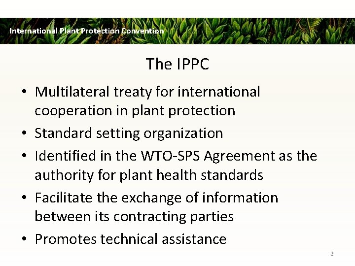 International Plant Protection Convention The IPPC • Multilateral treaty for international cooperation in plant
