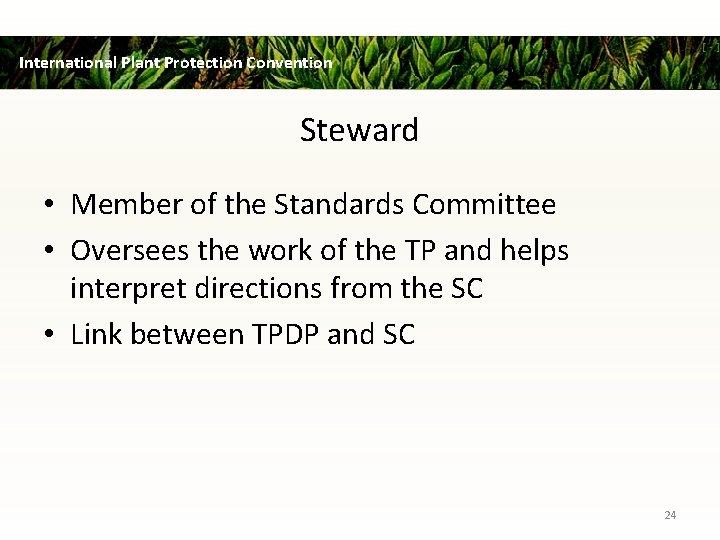 International Plant Protection Convention Steward • Member of the Standards Committee • Oversees the