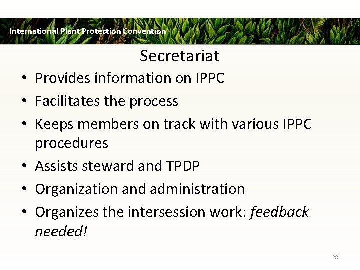 International Plant Protection Convention Secretariat • Provides information on IPPC • Facilitates the process