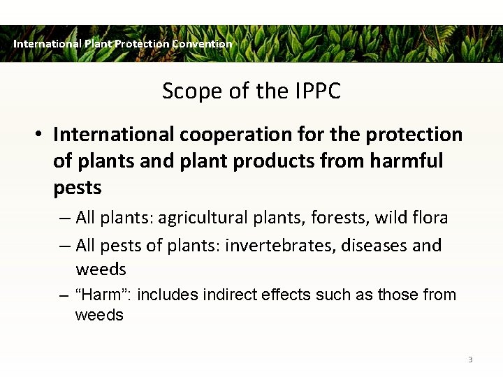 International Plant Protection Convention Scope of the IPPC • International cooperation for the protection