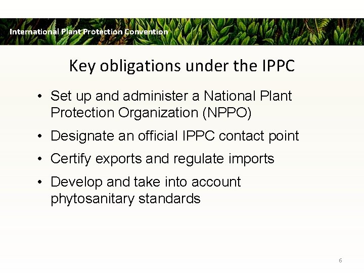 International Plant Protection Convention Key obligations under the IPPC • Set up and administer