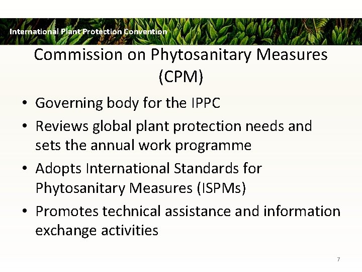 International Plant Protection Convention Commission on Phytosanitary Measures (CPM) • Governing body for the