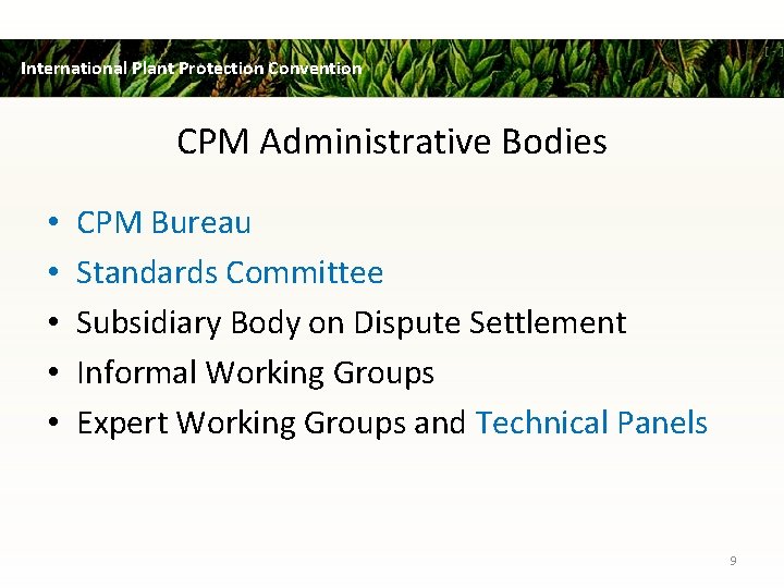 International Plant Protection Convention CPM Administrative Bodies • • • CPM Bureau Standards Committee