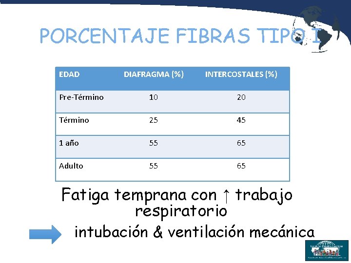 PORCENTAJE FIBRAS TIPO I EDAD DIAFRAGMA (%) INTERCOSTALES (%) Pre-Término 10 20 Término 25