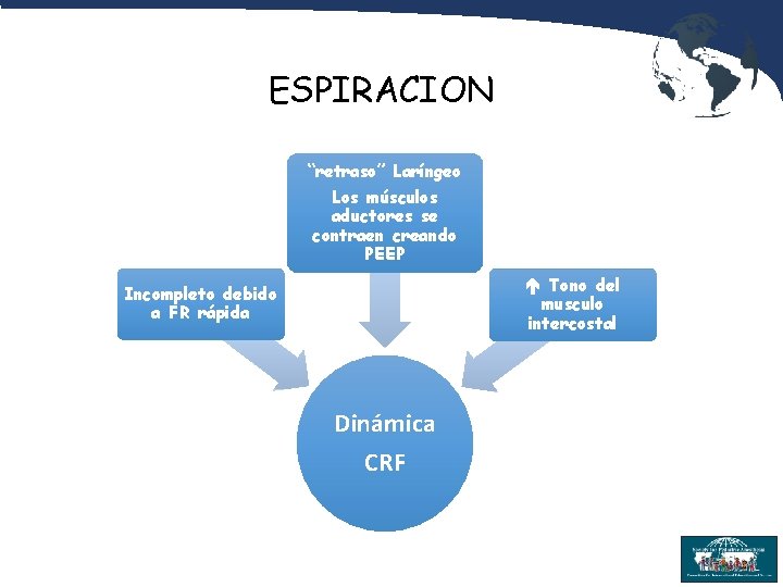 ESPIRACION “retraso” Laríngeo Los músculos aductores se contraen creando PEEP Tono del musculo intercostal