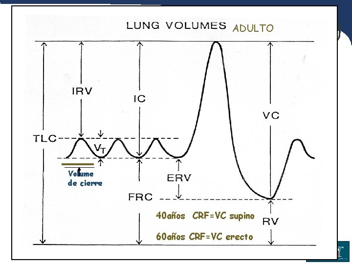 ADULTO Volume de cierre 40 años CRF=VC supino 60 años CRF=VC erecto 