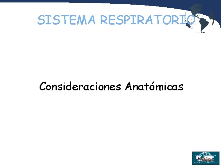 SISTEMA RESPIRATORIO Consideraciones Anatómicas 