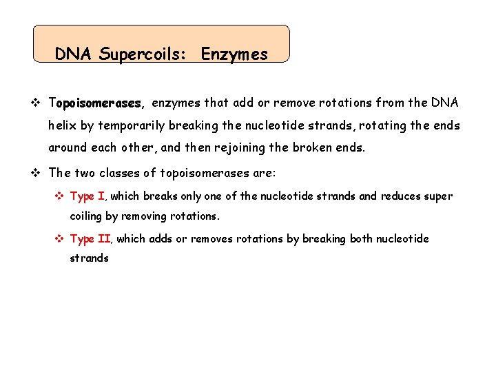 DNA Supercoils: Enzymes v Topoisomerases, enzymes that add or remove rotations from the DNA