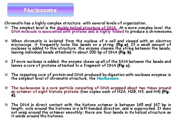 Nucleosome Chromatin has a highly complex structure with several levels of organization. The simplest