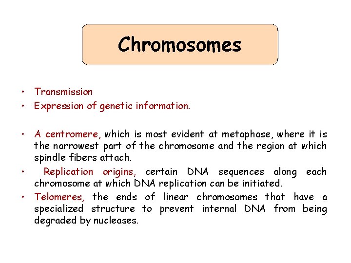 Chromosomes • Transmission • Expression of genetic information. • A centromere, which is most