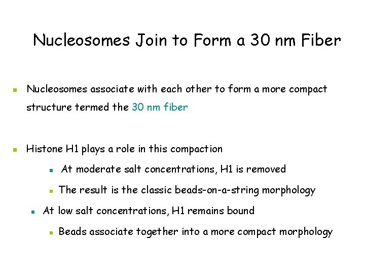 Nucleosomes Join to Form a 30 nm Fiber n Nucleosomes associate with each other
