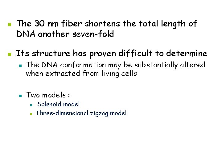 n n The 30 nm fiber shortens the total length of DNA another seven-fold