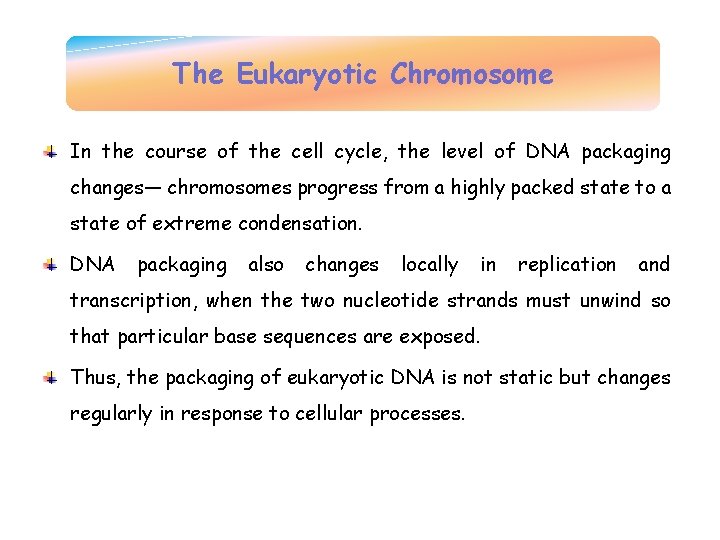 The Eukaryotic Chromosome In the course of the cell cycle, the level of DNA