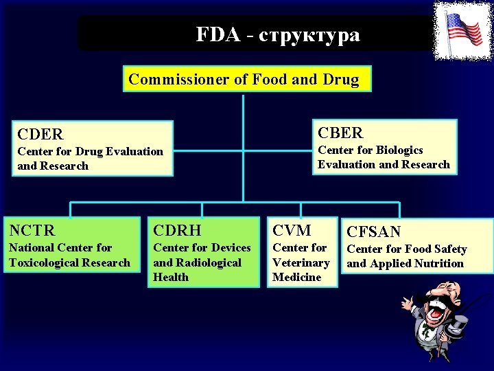 FDA - структура Commissioner of Food and Drug CBER CDER Center for Biologics Evaluation