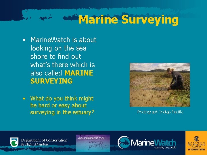 Marine Surveying • Marine. Watch is about looking on the sea shore to find