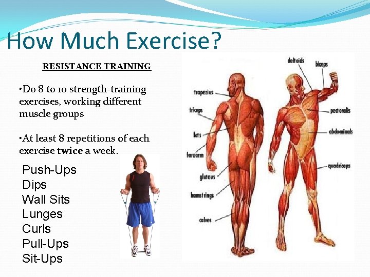 How Much Exercise? RESISTANCE TRAINING • Do 8 to 10 strength-training exercises, working different How Much Exercise? RESISTANCE TRAINING • Do 8 to 10 strength-training exercises, working different