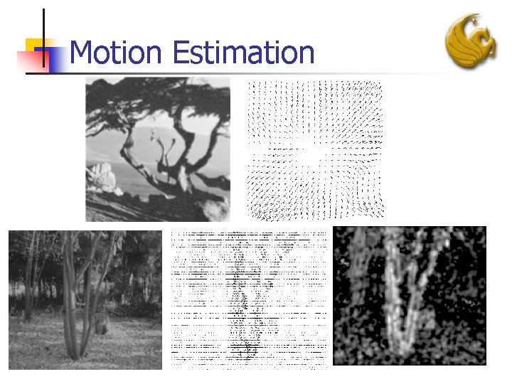 Motion Estimation 