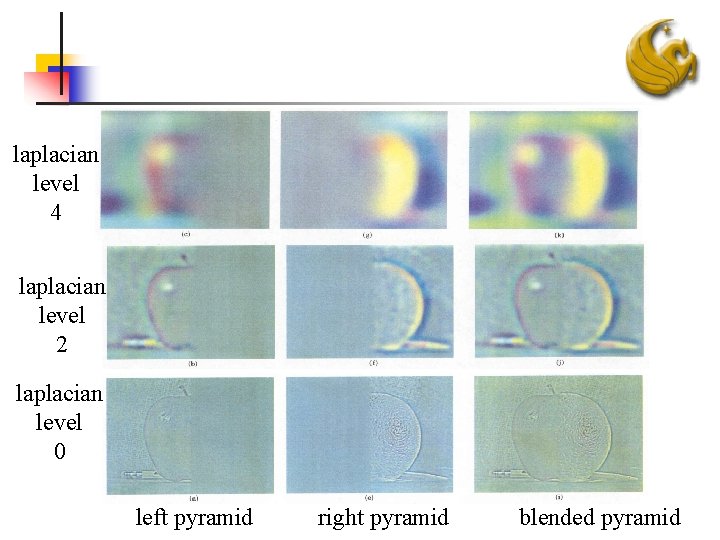 laplacian level 4 laplacian level 2 laplacian level 0 left pyramid right pyramid blended