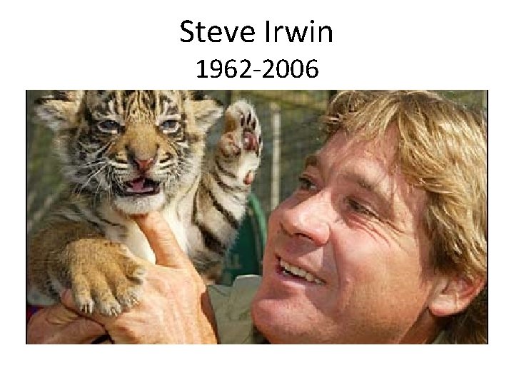 Steve Irwin 1962 -2006 