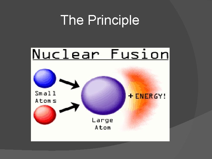 The Principle The Principle
