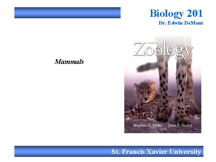 Biology 201 Dr. Edwin De. Mont Mammals St. Francis Xavier University 