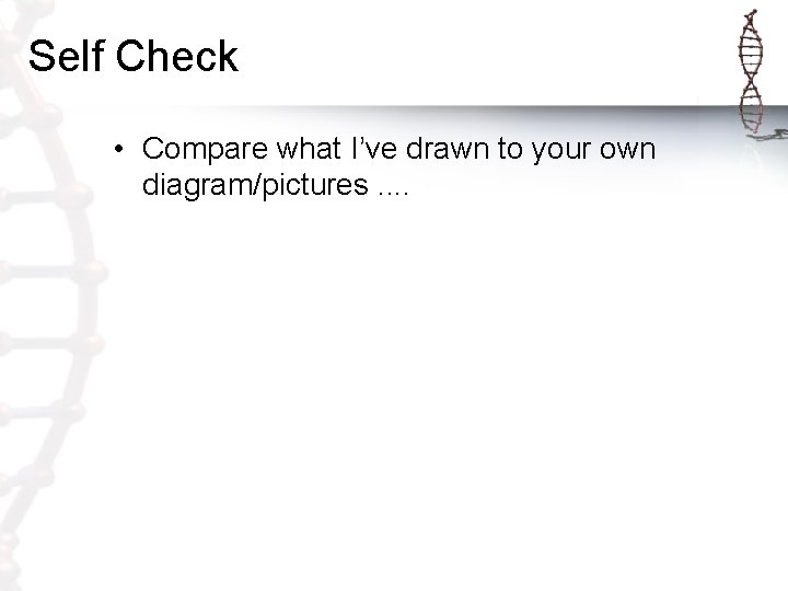 Self Check • Compare what I’ve drawn to your own diagram/pictures. . 