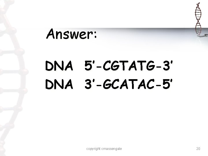 Answer: DNA 5’-CGTATG-3’ 3’-GCATAC-5’ copyright cmassengale 20 