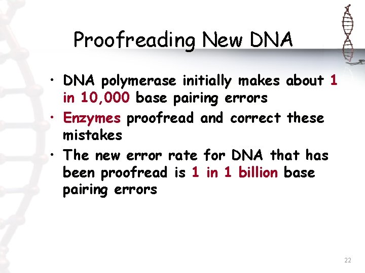 Proofreading New DNA • DNA polymerase initially makes about 1 in 10, 000 base