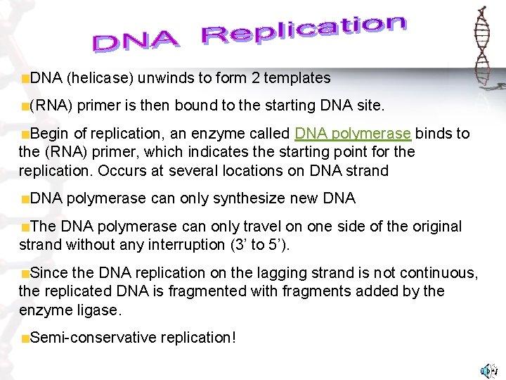 DNA (helicase) unwinds to form 2 templates (RNA) primer is then bound to the