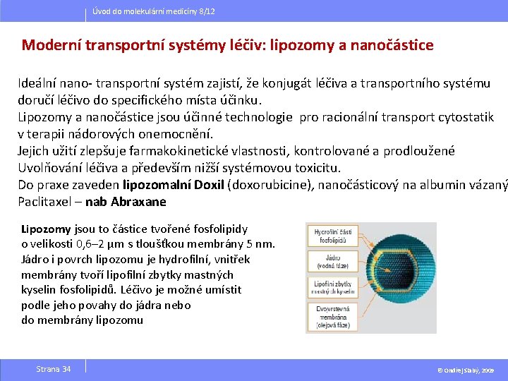 Úvod do molekulární medicíny 8/12 Moderní transportní systémy léčiv: lipozomy a nanočástice Ideální nano-