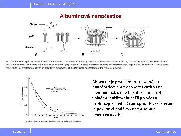 Úvod do molekulární medicíny 8/12 Albuminové nanočástice Abraxane je první léčivo založené na nanočásticovém