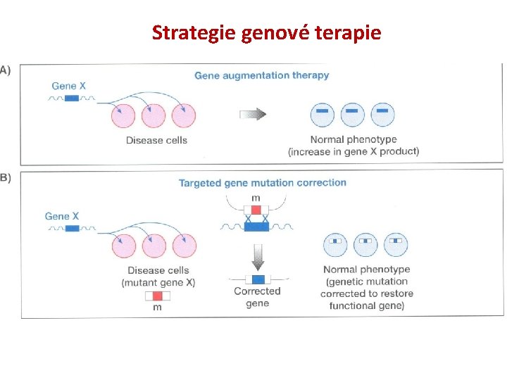 Strategie genové terapie 