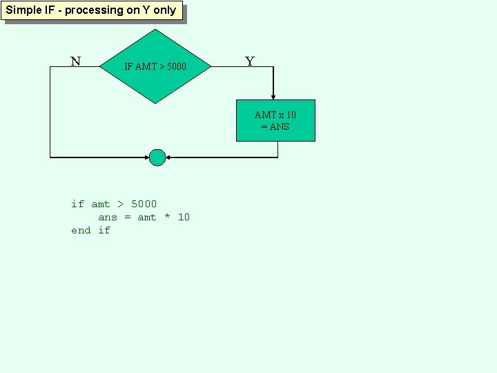 Simple IF - processing on Y only N IF AMT > 5000 Y AMT