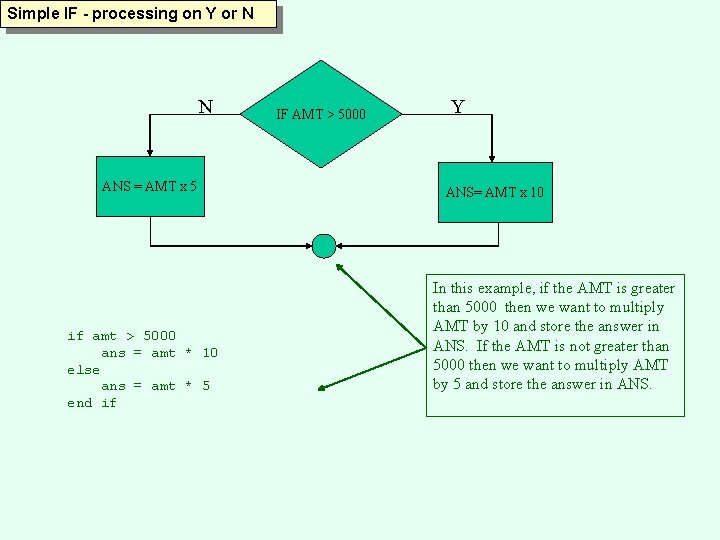 Simple IF - processing on Y or N N ANS = AMT x 5