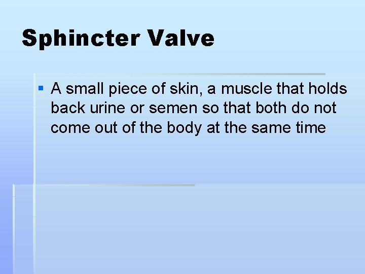 Sphincter Valve § A small piece of skin, a muscle that holds back urine