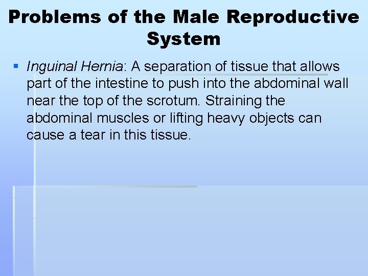 Problems of the Male Reproductive System § Inguinal Hernia: A separation of tissue that