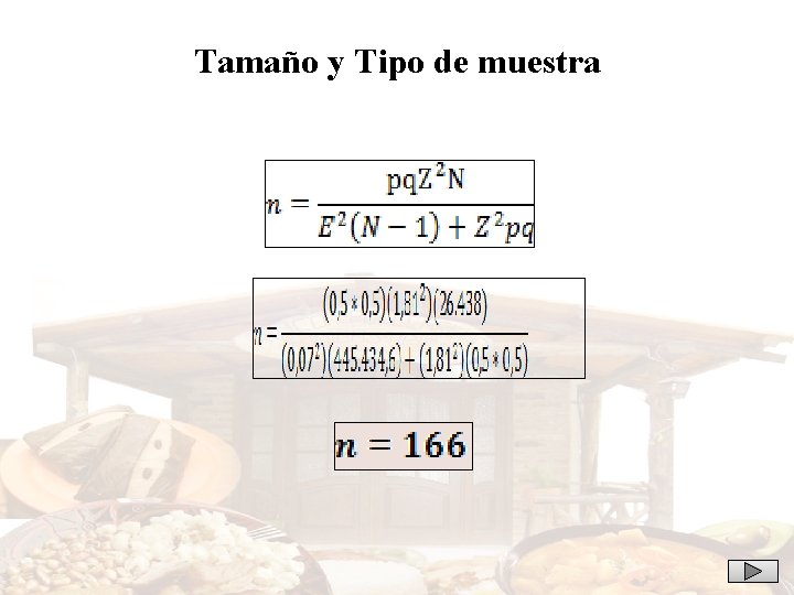 Tamaño y Tipo de muestra 