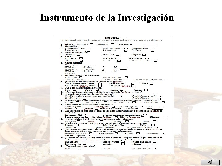 Instrumento de la Investigación 