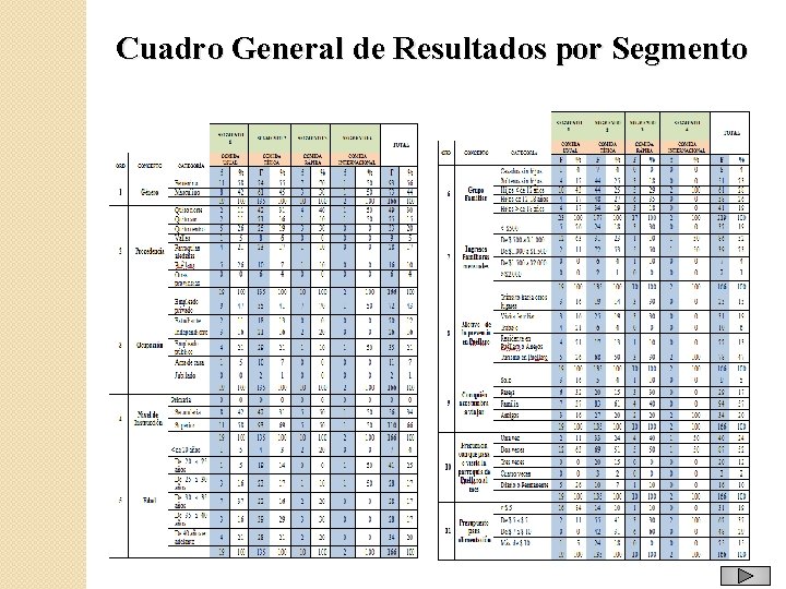 Cuadro General de Resultados por Segmento 