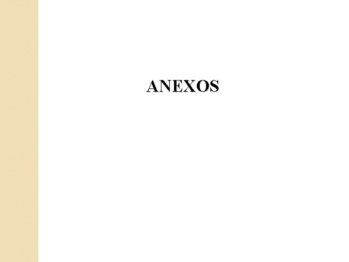 ANEXOS 