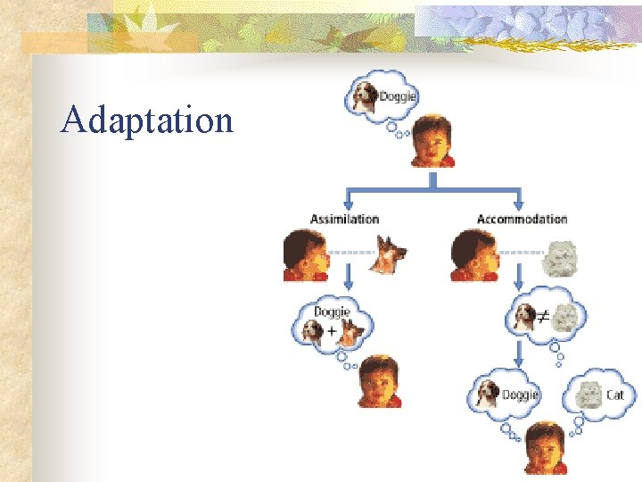 Adaptation 